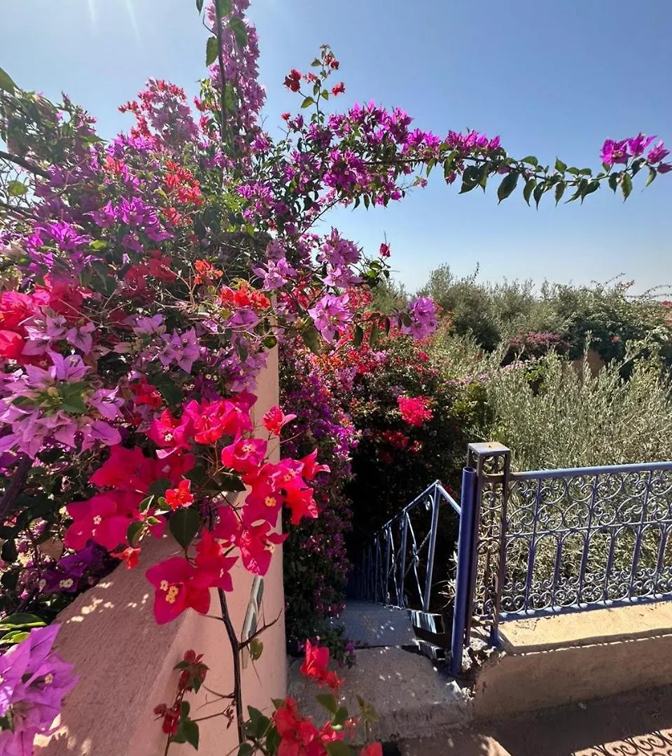 Villa Ms Holidays Mika Privatisee Marrakech Marrakesh